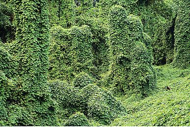 《三角洲行动》新实机预告 6月新测试招募开启